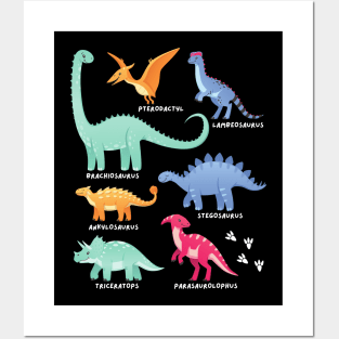 Types of Dinosaurs Future Paleontologist Kids Dino Lover Posters and Art